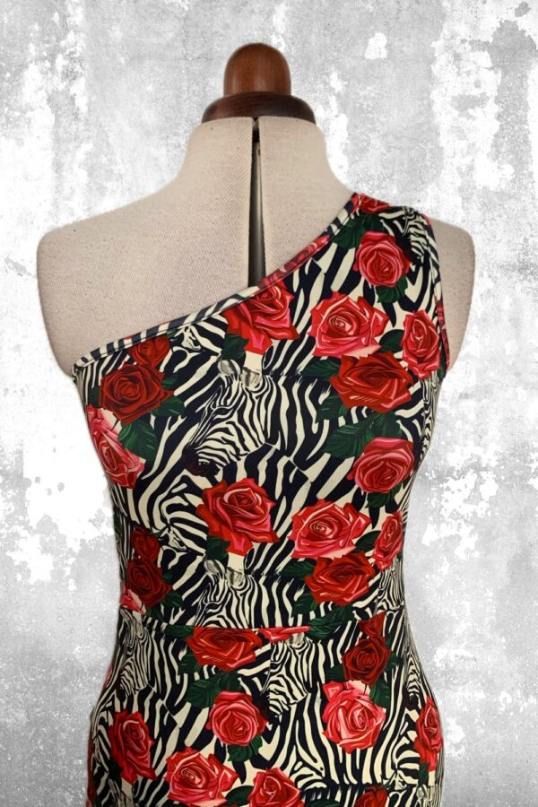 Robe MIRADA LIENS Zèbre roses XL